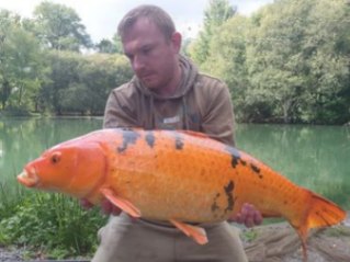 Woody’s Hooked in France – 10 September, 2022