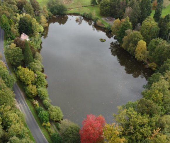 Blue Dart Carp Fishery Image