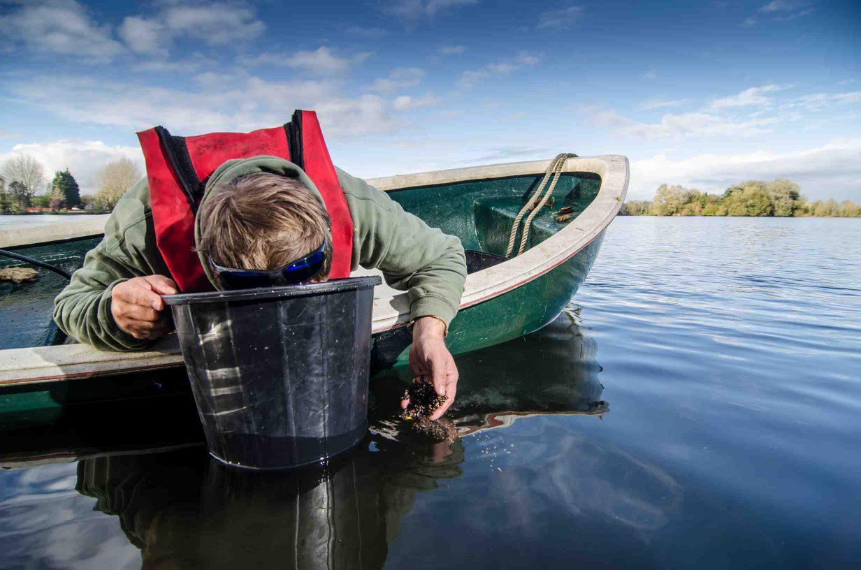 Locating the optimal carp feeding spots – “a spot within a spot”