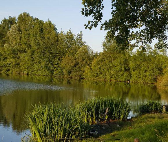 Etang de Janine Image