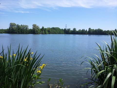 Etang de Janine Image