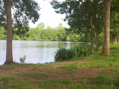 Etang de Janine Image