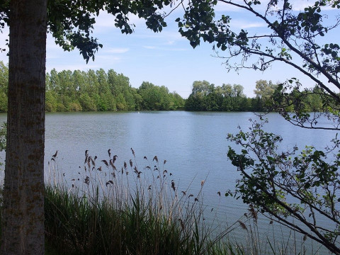 Etang de Janine Image