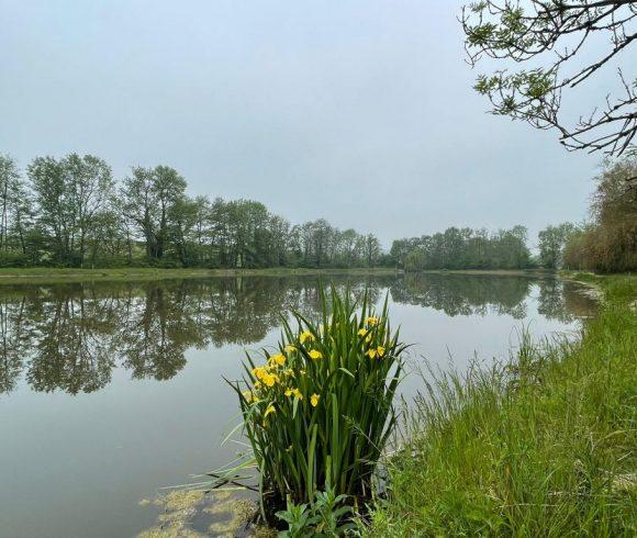 Hill House Lake Image