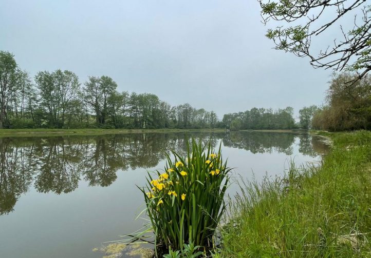 Hill House Lake Image