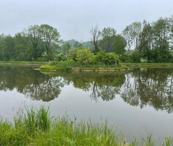 Hill House Lake Image