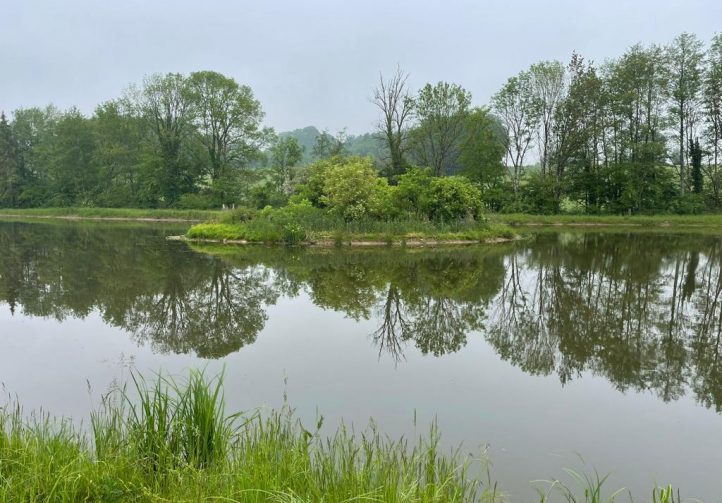 Hill House Lake Image