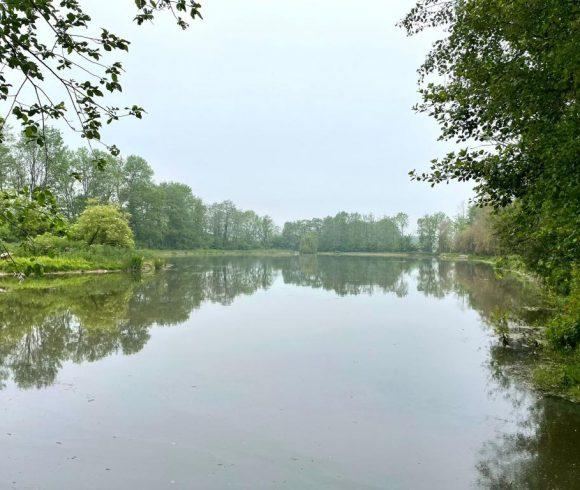 Hill House Lake Image