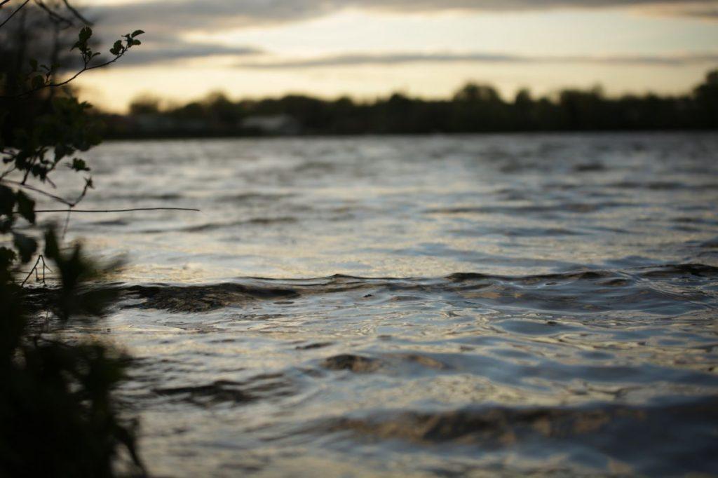 Locating carp in low light