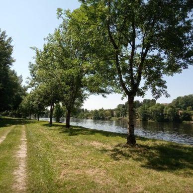 Wild Carp Fishing – River Vienne and Public Lakes Image