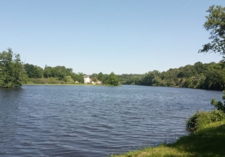 Wild Carp Fishing – River Vienne and Public Lakes Image