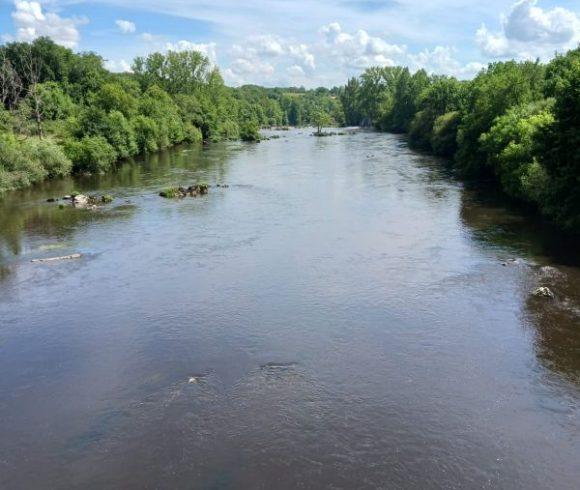 Wild Carp Fishing – River Vienne and Public Lakes Image