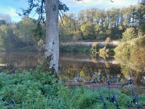 Wild Carp Fishing – River Vienne and Public Lakes Image