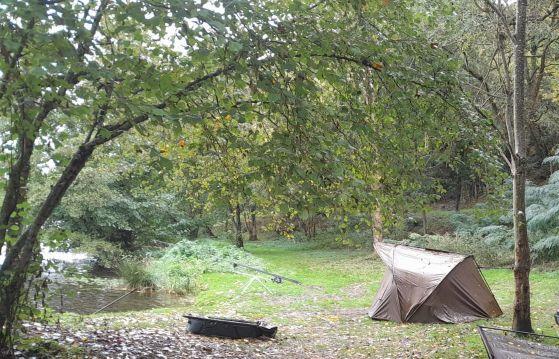 Wild Carp Fishing – River Vienne and Public Lakes Image