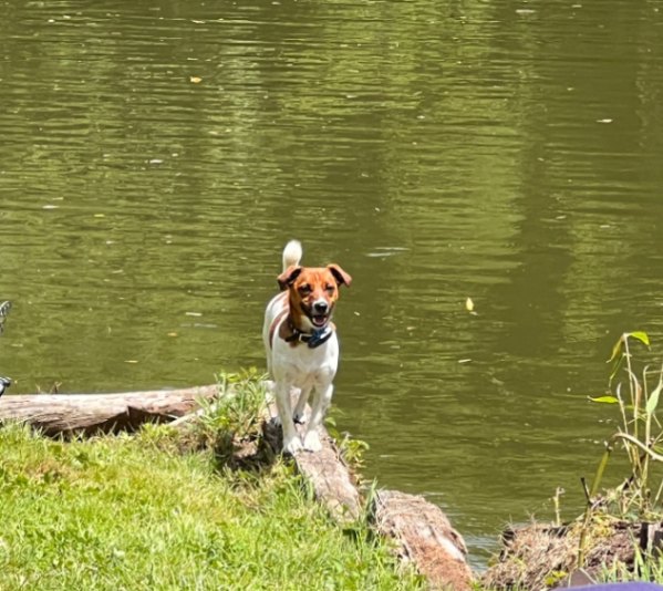 Kingfisher Lake – Carp France – 01 July, 2023