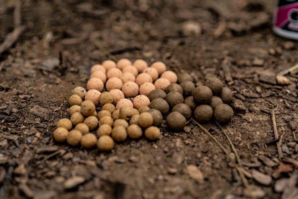 carp bait - boilie only approach