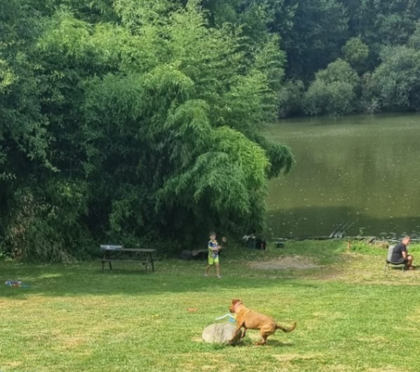 Kingfisher Lake – Carp France – 08 July, 2023