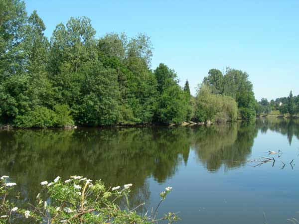 Wild Carp Fishing – River Vienne and Public Lakes Image