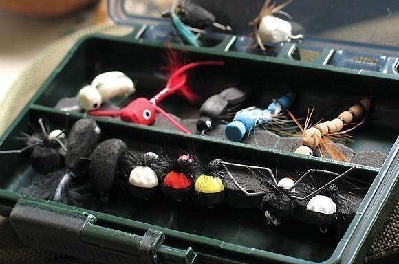 Zig bugs