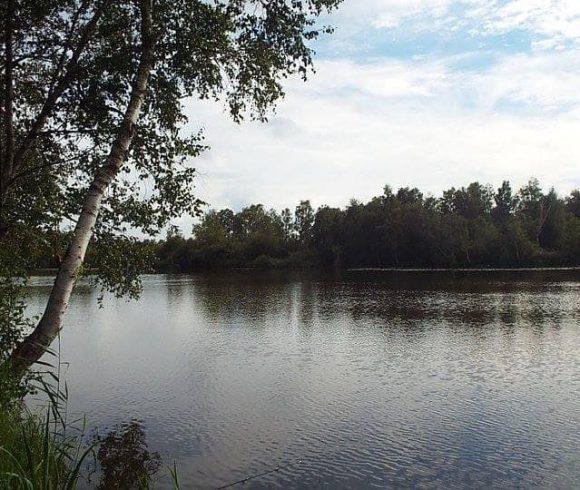 Lac Du Cygne Image