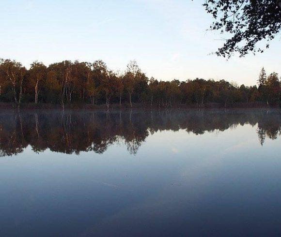 Lac Du Cygne Image