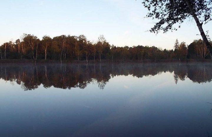 Lac Du Cygne: 04-10-2025 to 11-10-2025