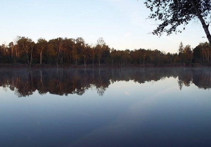 Lac Du Cygne Image