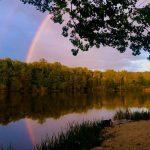 Etang La Test Image