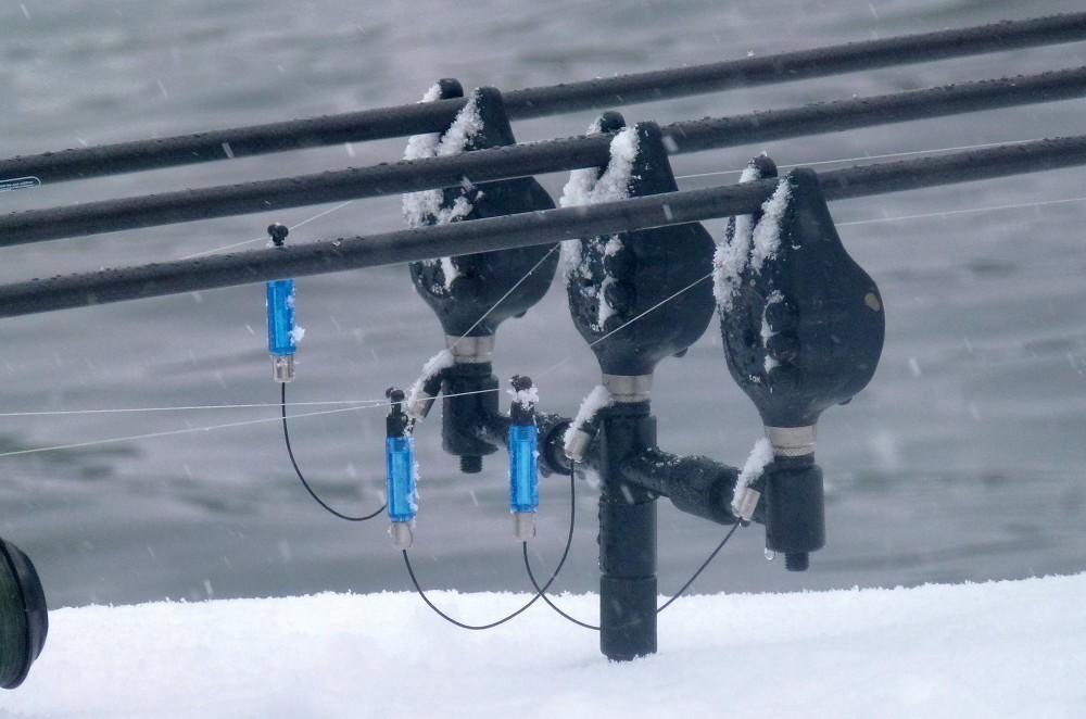 carp fishing in winter