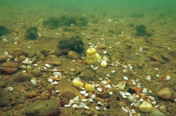 Plastic baits will stay on the hook for longer if a crayfish picks it up