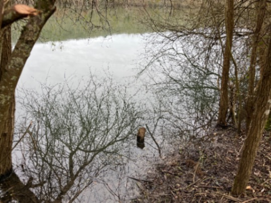 Domaine de Grand Felin – 18 February, 2024
