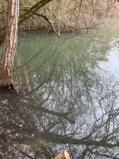 Domaine de Grand Felin – 18 February, 2024