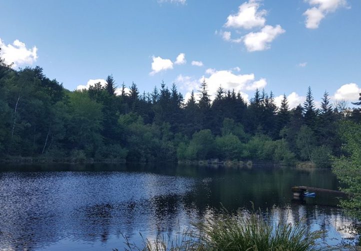 Forest Pool - a small exclusive lake in France with accommodation 