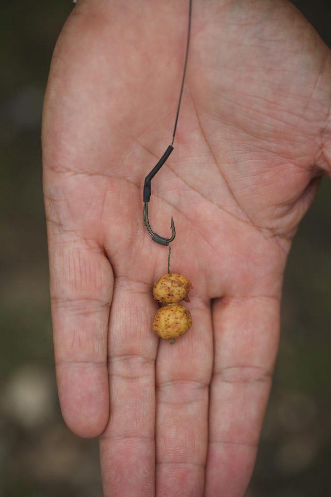 Stalking carp - keep rigs simple