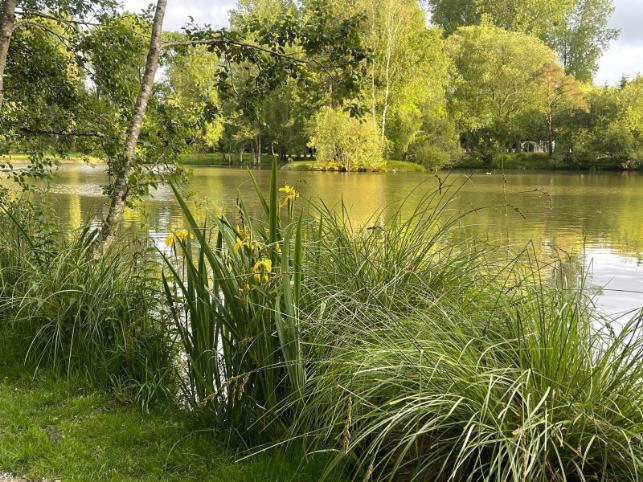 Etang Les Burons Image