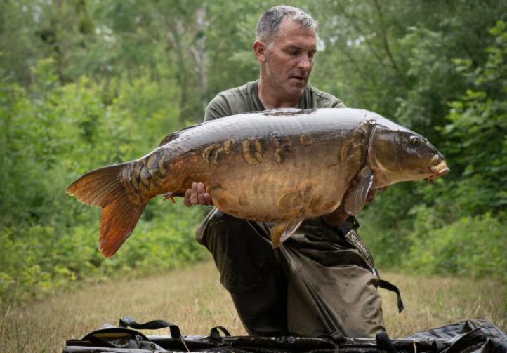 Etang de Berniere Image