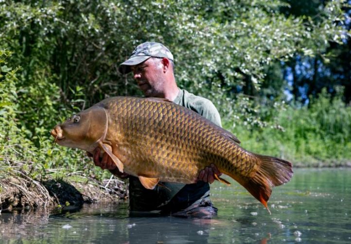 Etang de Berniere Image