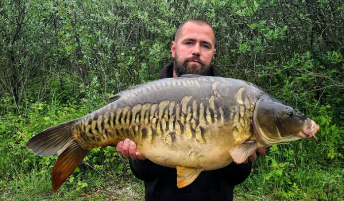 Etang de Berniere Image